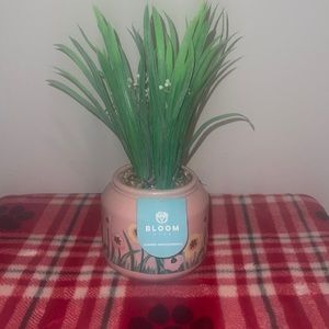 Bloom Room Summer Arrangements.